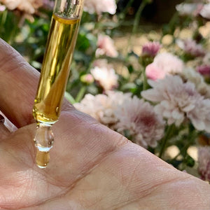 Rose Rejuvenating 💫 Day Serum || Rosa Damascena + Jasmine || Farm Grown Rose Beauty Blend + Sunflower Oil